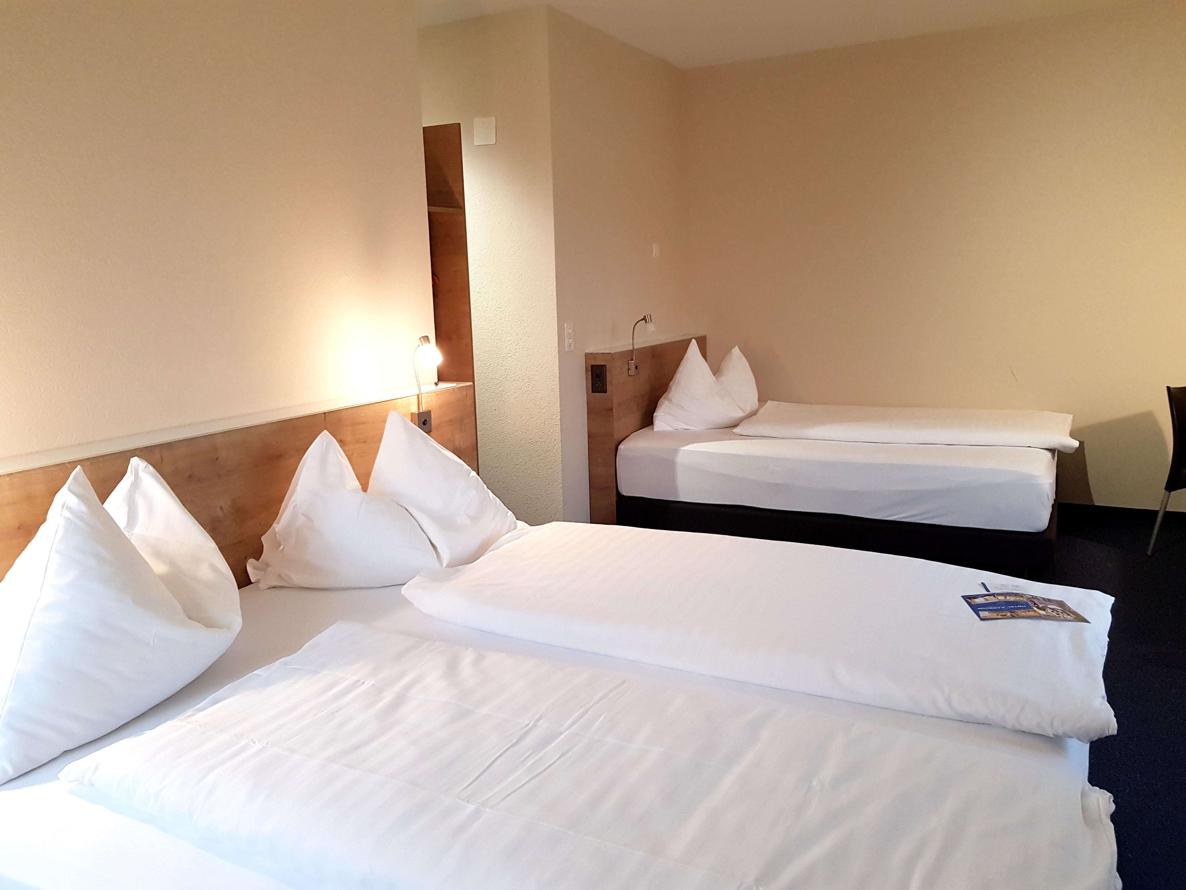 Aarehof Swiss Quality Hotel Wildegg Екстер'єр фото